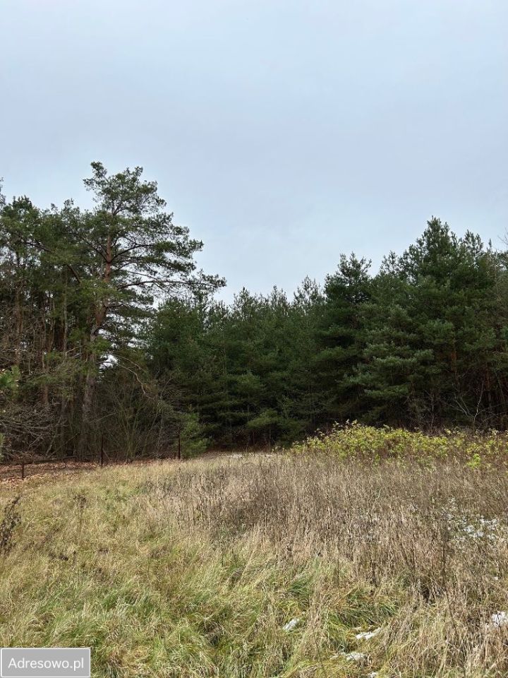 Działka budowlana Wola Aleksandra, ul. Wolska. Zdjęcie 4