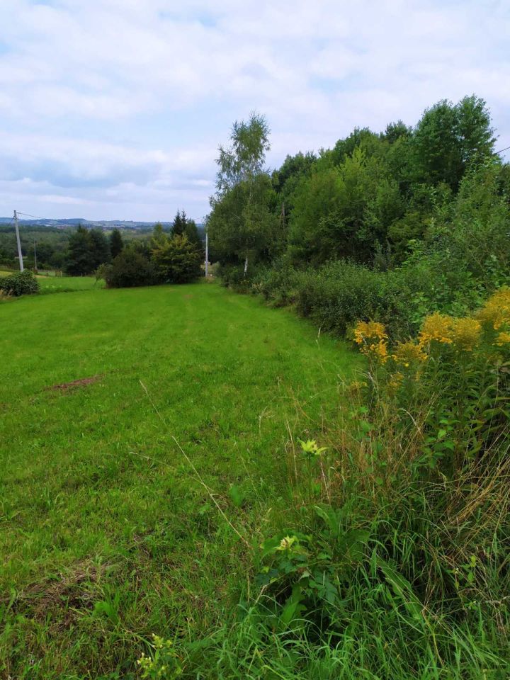 Działka rekreacyjna Zręczyce. Zdjęcie 11