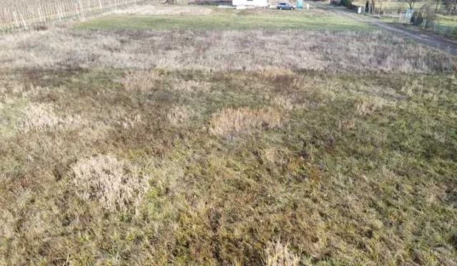 Działka budowlana Michalczew. Zdjęcie 1