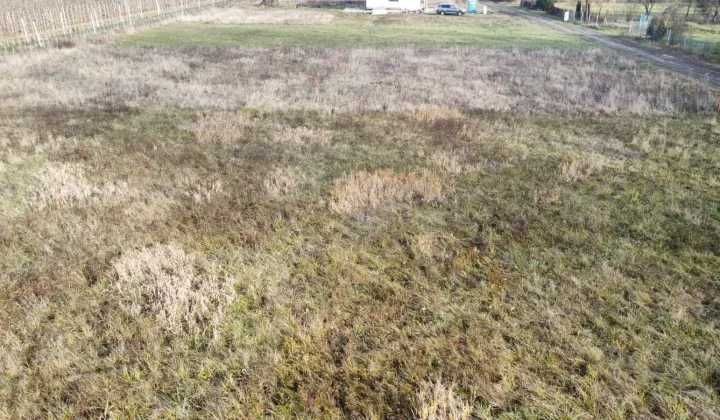 Działka budowlana Michalczew. Zdjęcie 1