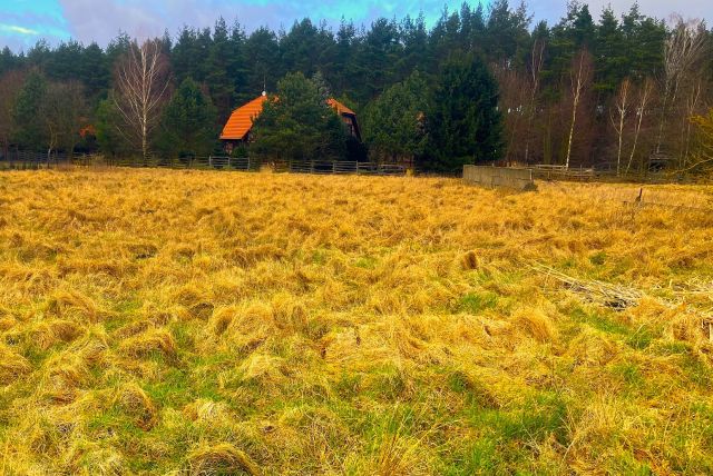 Działka budowlana Wołczkowo, ul. Jutrzenki. Zdjęcie 1