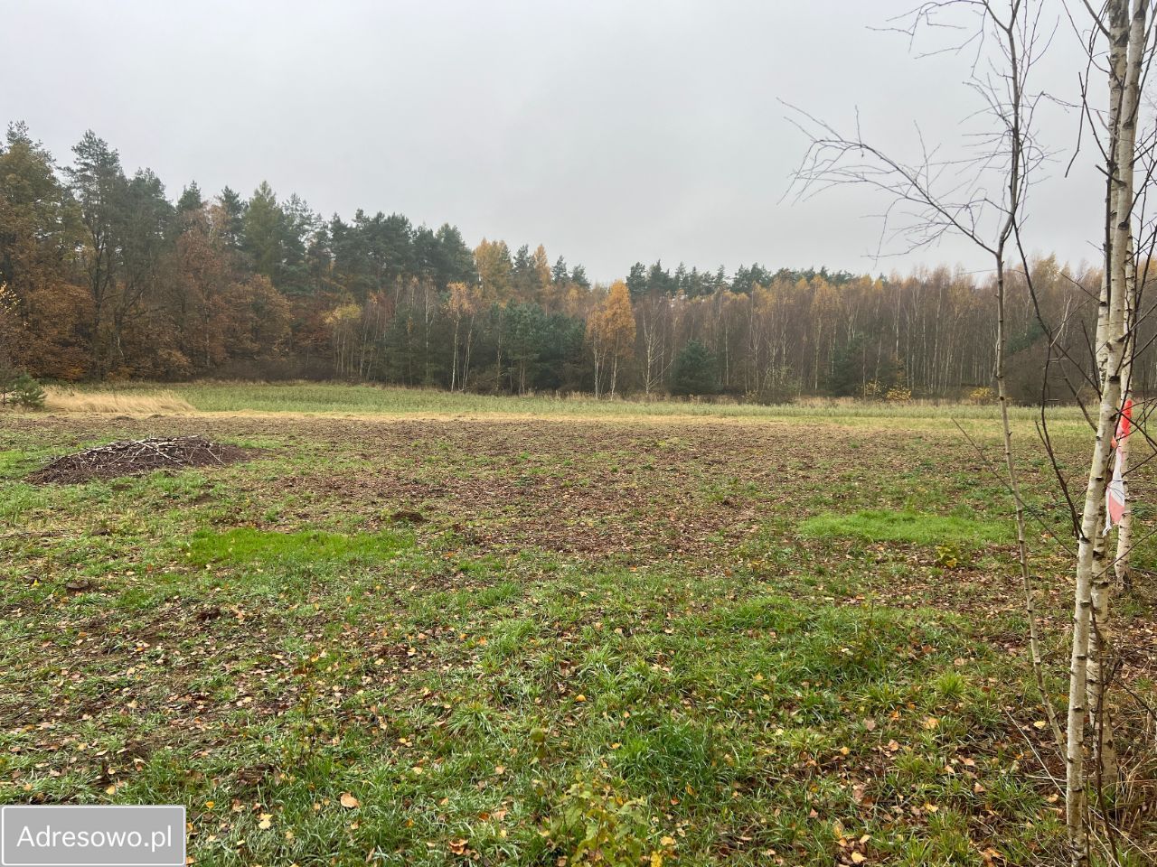 Działka budowlana Podańsko, ul. Długa. Zdjęcie 9