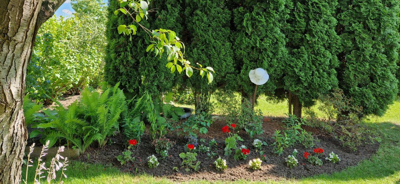 Działka rod Lubin. Zdjęcie 6