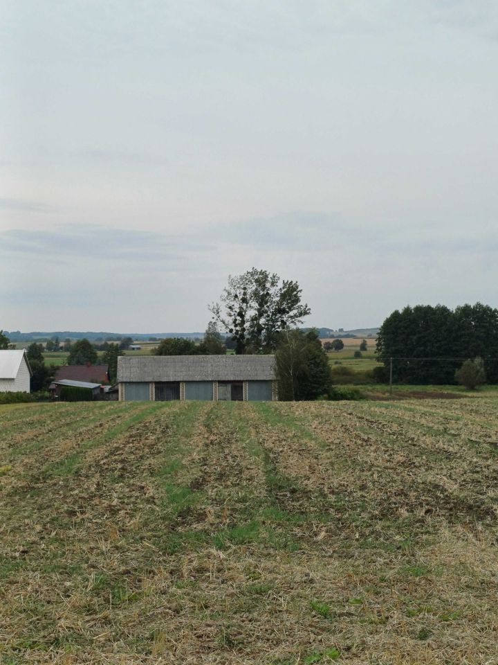 siedlisko Dragany. Zdjęcie 2