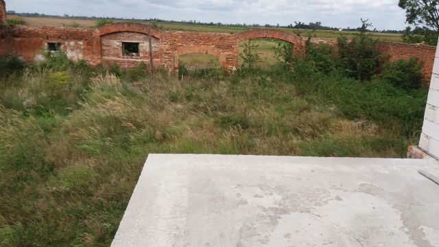 Działka budowlana Wierzbno. Zdjęcie 6