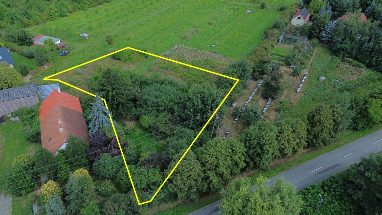 Działka rolno-budowlana Lutynia, ul. Tadeusza Kościuszki. Zdjęcie 6