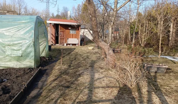 Działka rod Olsztyn, al. Aleja Generała Władysława Sikorskiego