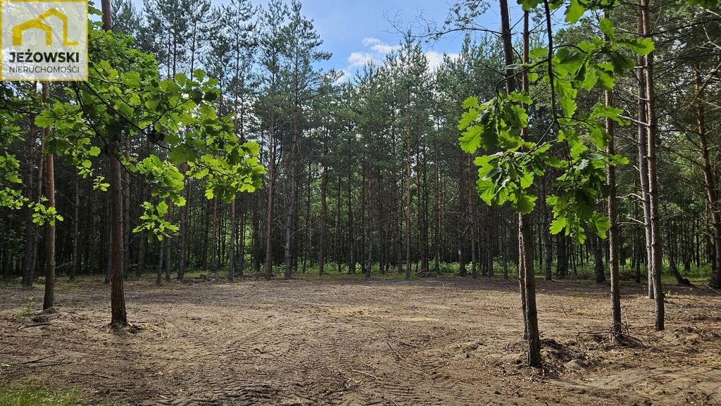 Działka rolna Nowosiółki. Zdjęcie 5