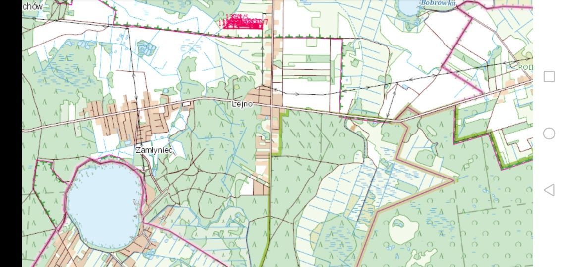 Działka rekreacyjna Lejno. Zdjęcie 3