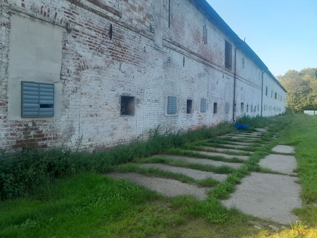 Hala/magazyn Tursko. Zdjęcie 3