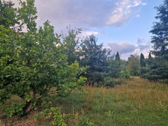 Działka budowlana Czarnów, ul. Piaskowa. Zdjęcie 2