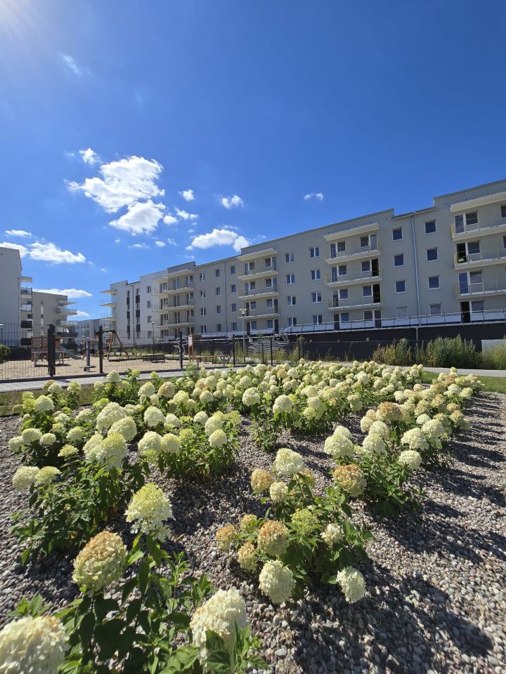 Mieszkanie 2-pokojowe Szczecin Gumieńce, ul. Gorzowska. Zdjęcie 17