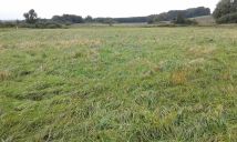 Działka rolna Strzebielino. Zdjęcie 2