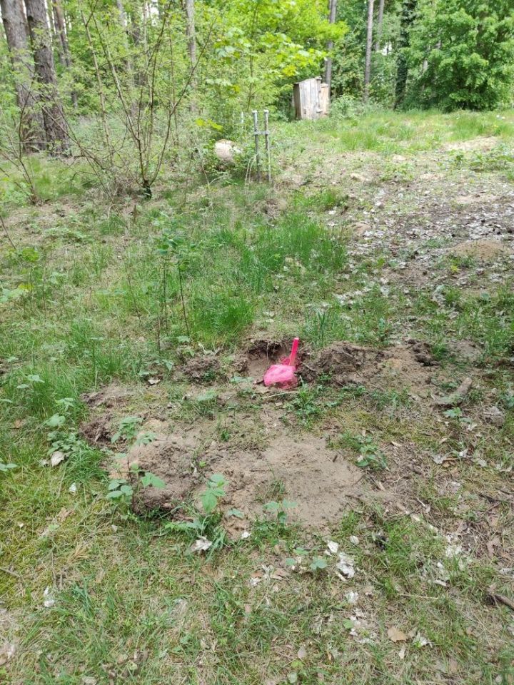 Działka budowlana Osieczna. Zdjęcie 5