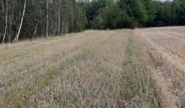 Działka rolna Zbucz