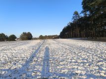 Działka budowlana Rąpin. Zdjęcie 2
