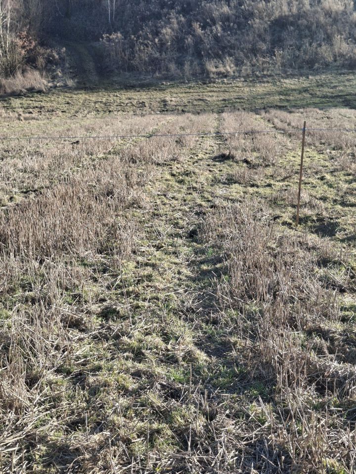 Działka budowlana Kozierów, ul. Lipowa. Zdjęcie 3