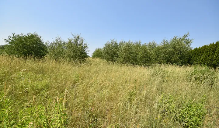 Działka budowlana Kotórz Mały