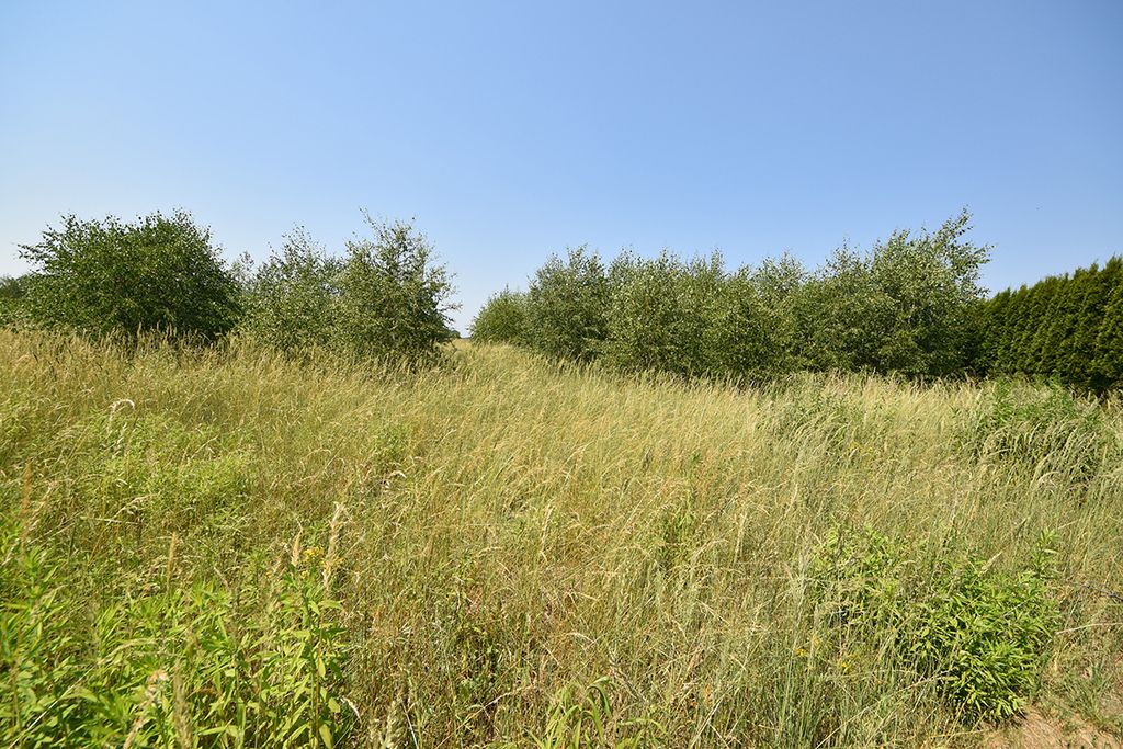 Działka na sprzedaż
Kotórz Mały, powiat opolski