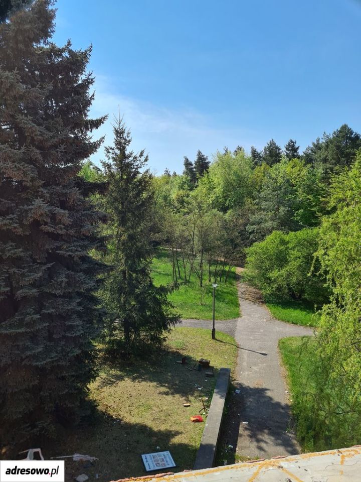 Działka budowlana Rogoźnik. Zdjęcie 9