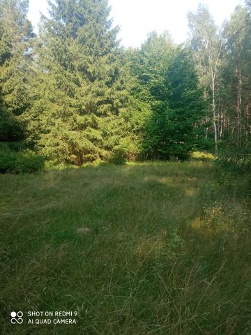 Działka siedliskowa Nowy Dwór. Zdjęcie 1