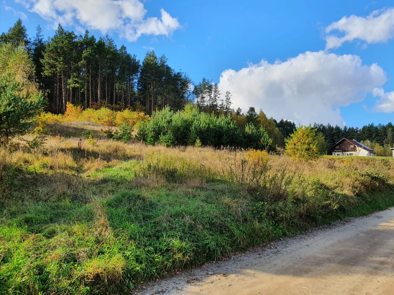 Działka budowlana Łupstych. Zdjęcie 2