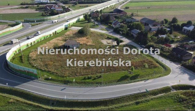 Działka Polichno. Zdjęcie 5