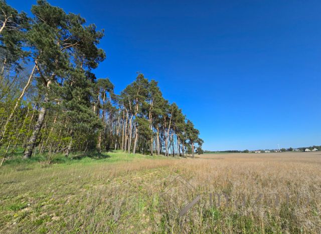 Działka rolna Józefinka. Zdjęcie 1