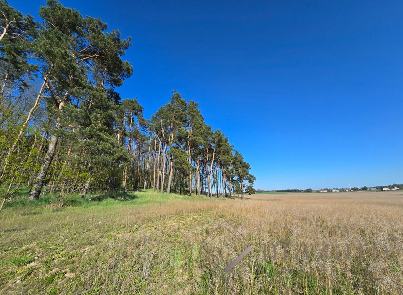 Działka rolna Józefinka