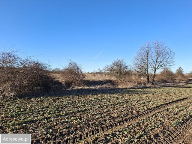 Działka siedliskowa Będkowo. Zdjęcie 1