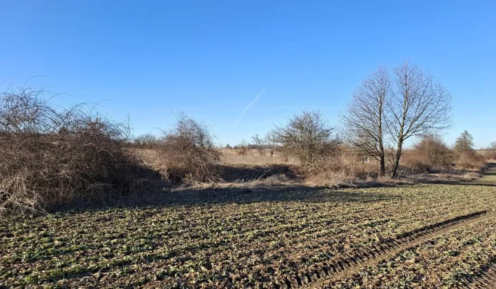 Działka siedliskowa Będkowo