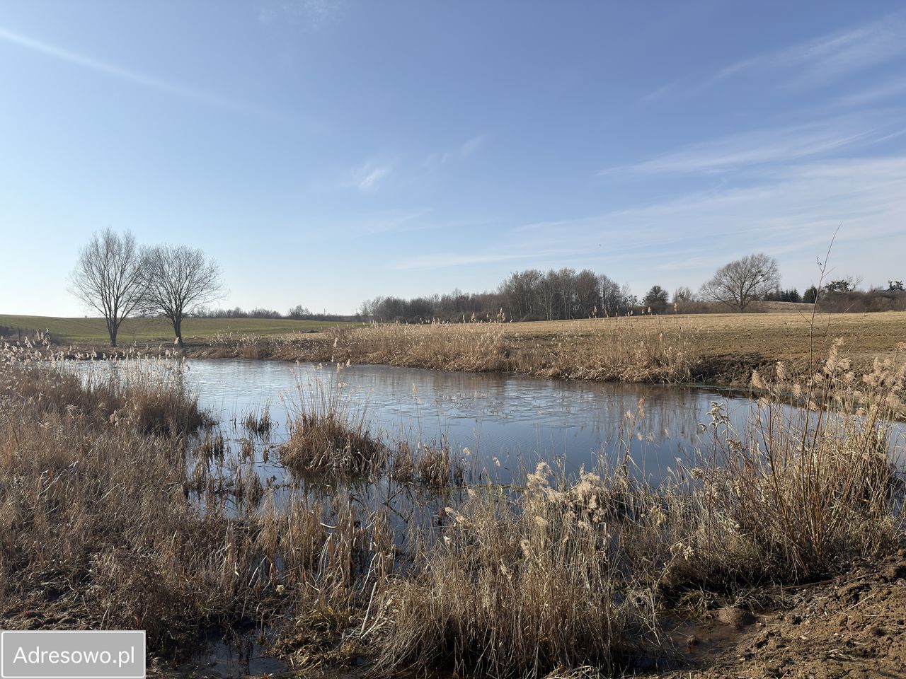 Działka budowlana Sulnowo, ul. Stawowa. Zdjęcie 9