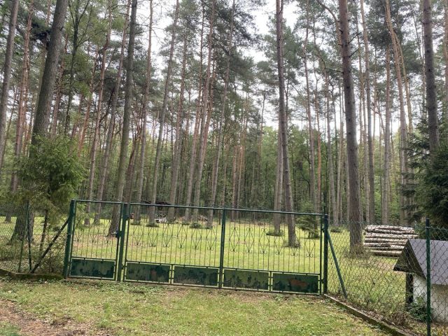 Działka budowlana Czyżemin. Zdjęcie 5