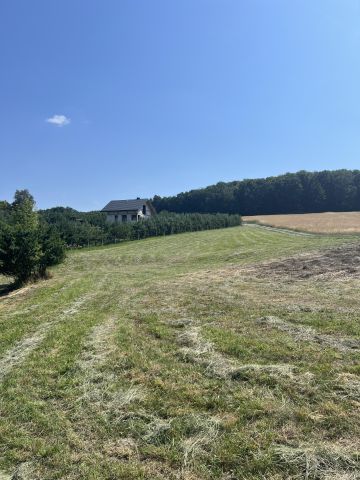 Działka rolno-budowlana Olchowa. Zdjęcie 10