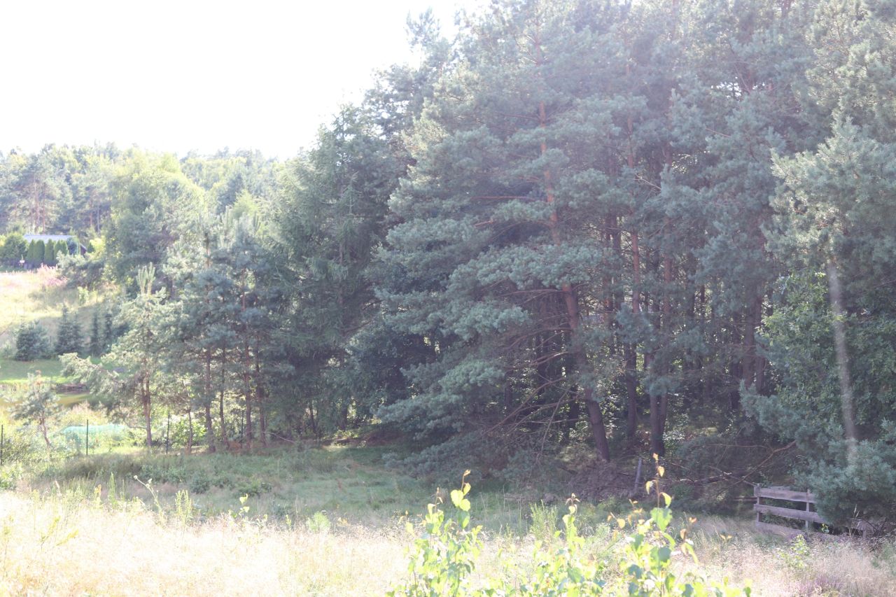 Działka budowlana Koleczkowo, ul. Jarzębinowa. Zdjęcie 5