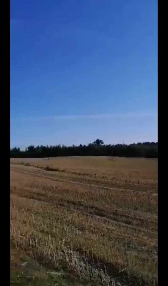 Działka siedliskowa Frednowy. Zdjęcie 2