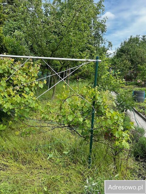 Działka rod Racibórz Centrum, ul. Warszawska