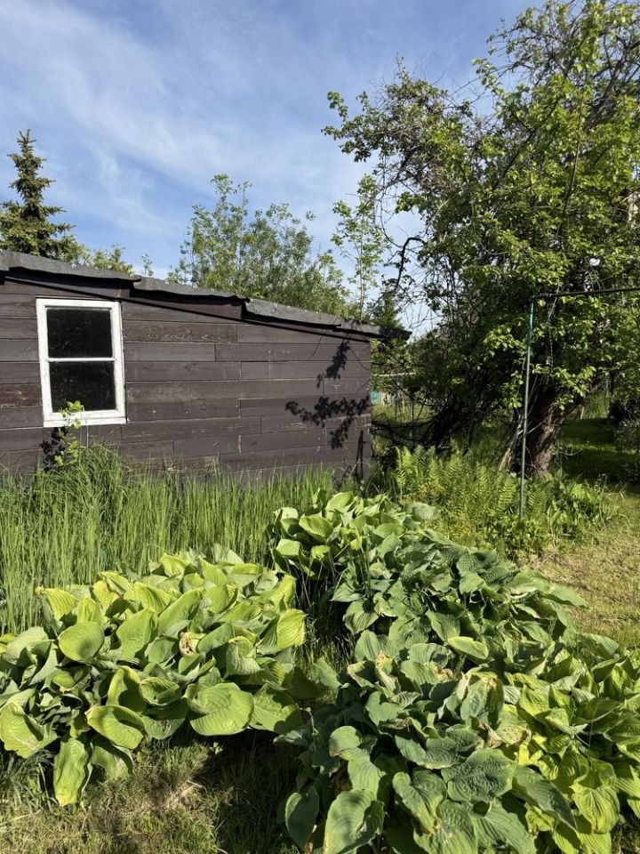 Działka rod Lublin. Zdjęcie 8