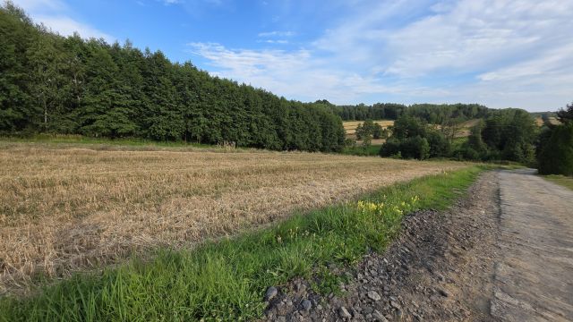 Działka budowlana Pilzno Przymiarki, ul. Tadeusza Kościuszki. Zdjęcie 1
