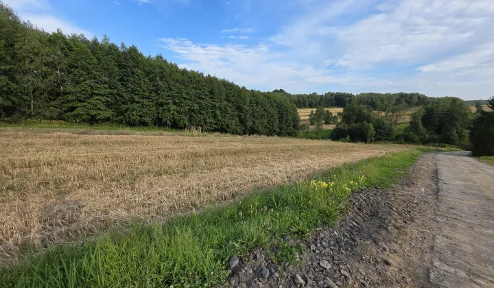 Działka budowlana Pilzno Przymiarki, ul. Tadeusza Kościuszki
