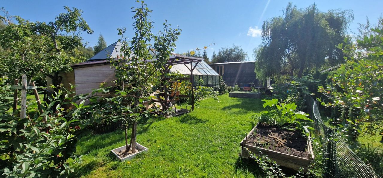 Działka rod Białystok Dziesięciny, ul. Wilcza. Zdjęcie 6