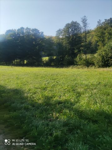 Działka budowlana Przetoczyno. Zdjęcie 1