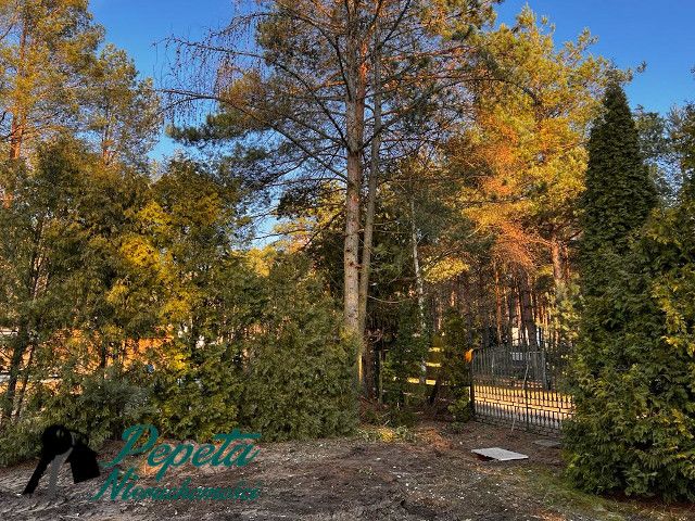 Działka budowlana Tuczno. Zdjęcie 1