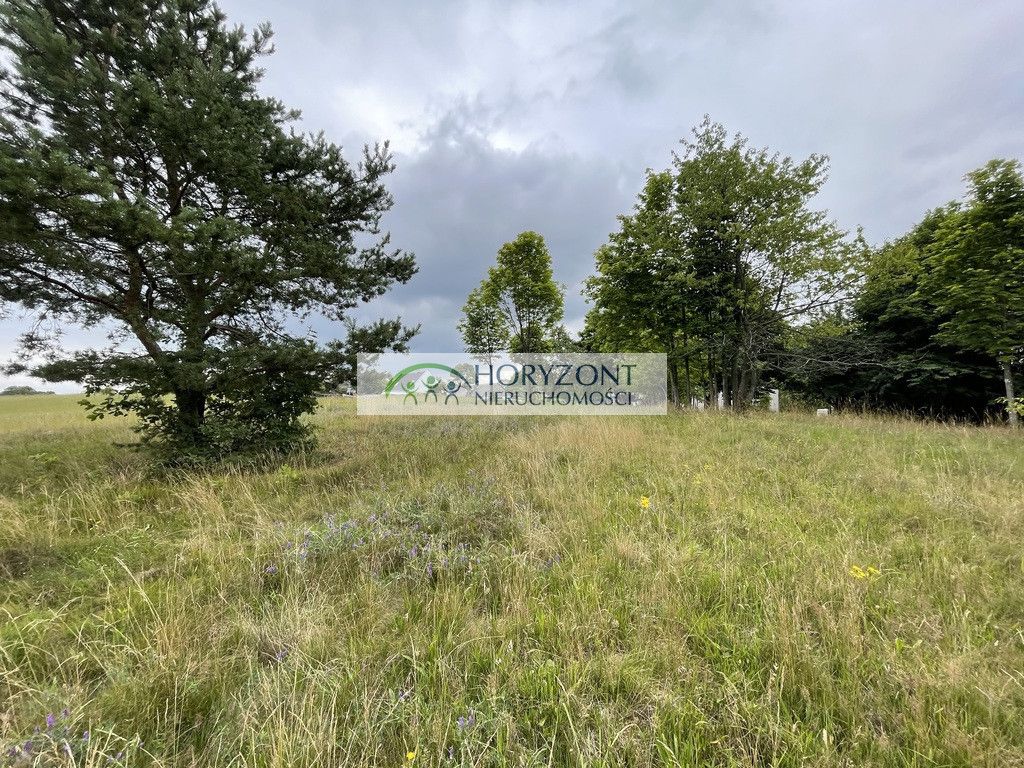 Działka Nowa Wieś Przywidzka. Zdjęcie 6
