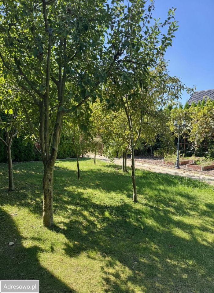 Działka budowlana Płock Borowiczki-Cukrownia, ul. Borowicka. Zdjęcie 4