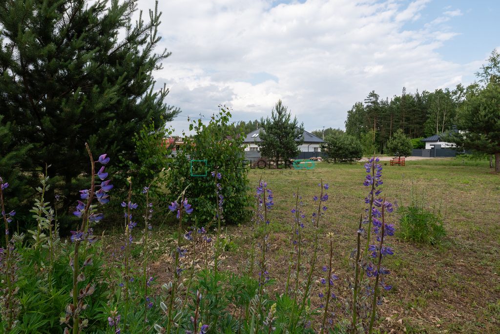 Działka budowlana Sowlany. Zdjęcie 5