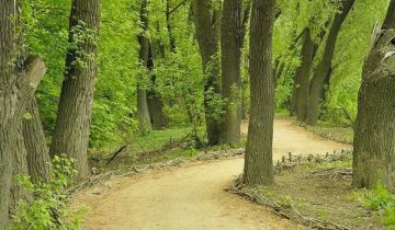Pokój Warszawa Saska Kępa, ul. Brazylijska