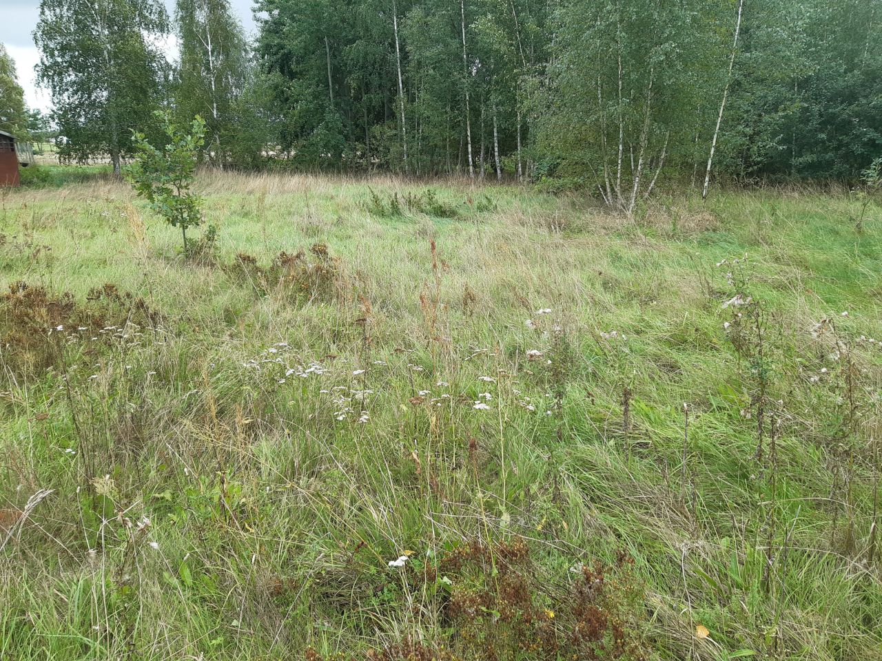 Działka rolno-budowlana Jedlnia. Zdjęcie 1