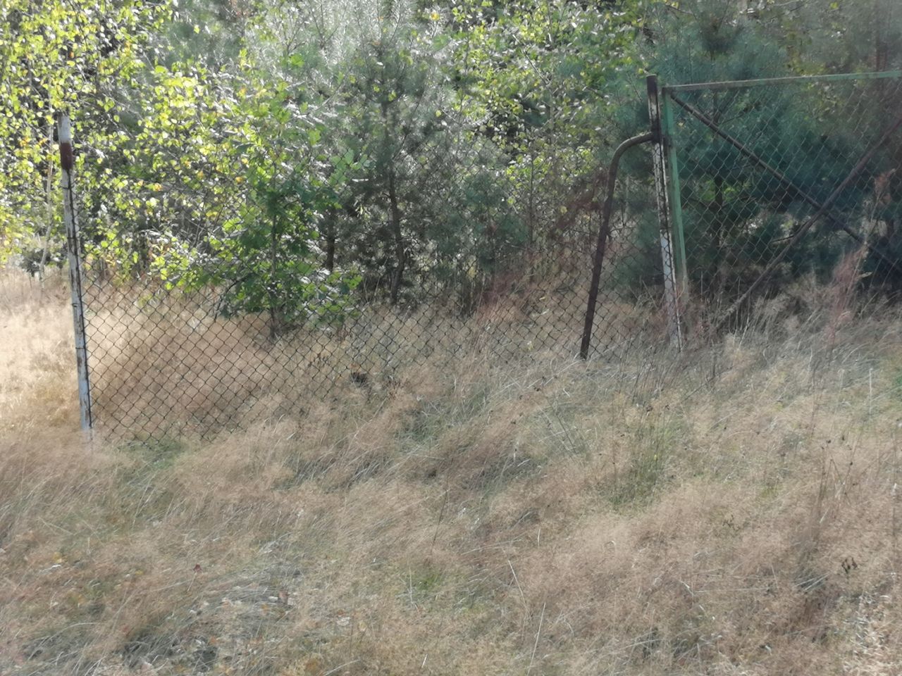 Działka rekreacyjna Radachówka. Zdjęcie 2