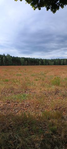 Działka budowlana Stare Strącze. Zdjęcie 1